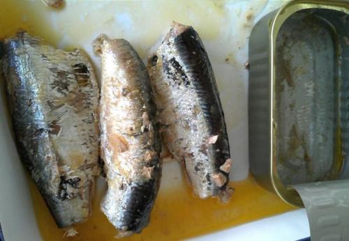 sardines